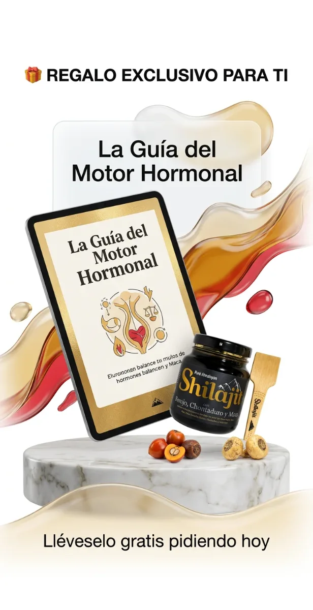 Ebook