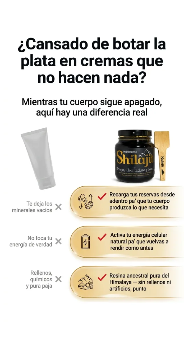 Comparativa